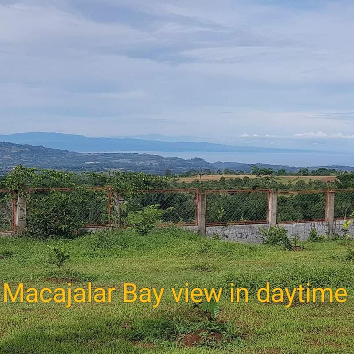 5 hectares Agricultural Farm For Sale in Claveria Misamis Oriental [Lot ...