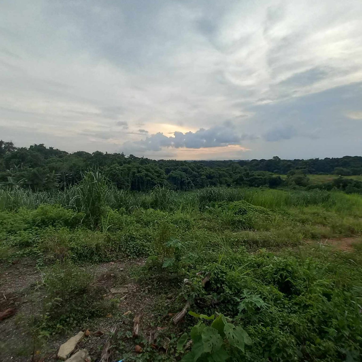 2.2 hectares commercial lot for sale Sta.Maria Bulacan along highway