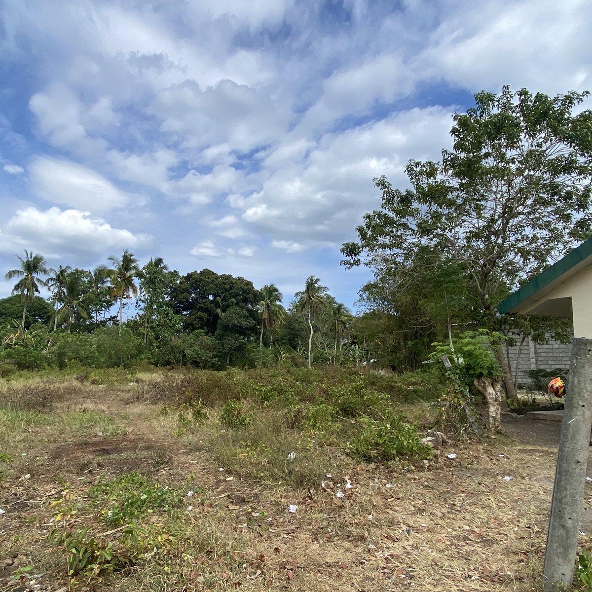 150 sqm Residential Lot For Sale By Owner in Samal Davao del Norte [Lot ...