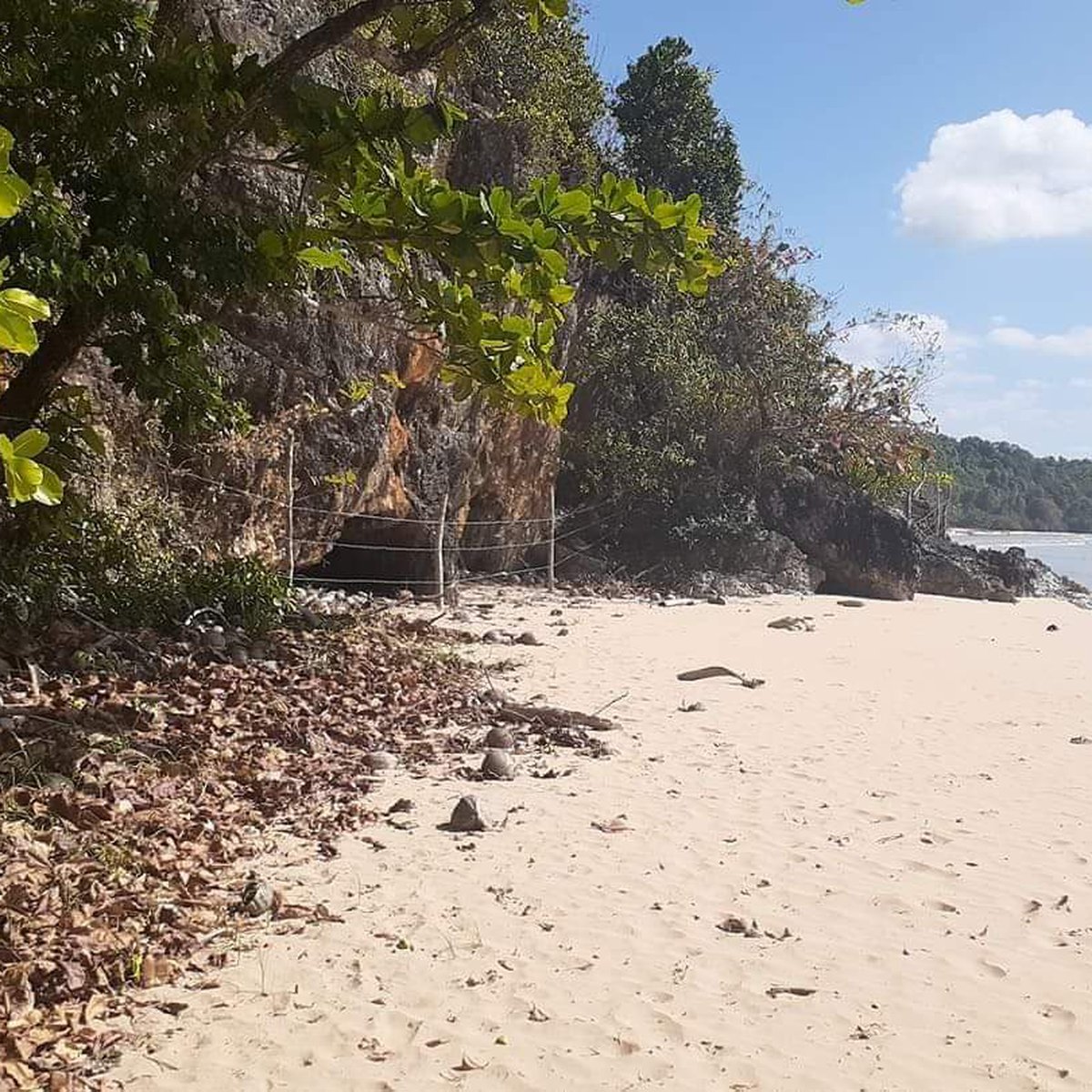 EL NIDO PALAWAN Beach Property for Sale [Beach Property 🏖️] (November 2023) in El Nido (Bacuit