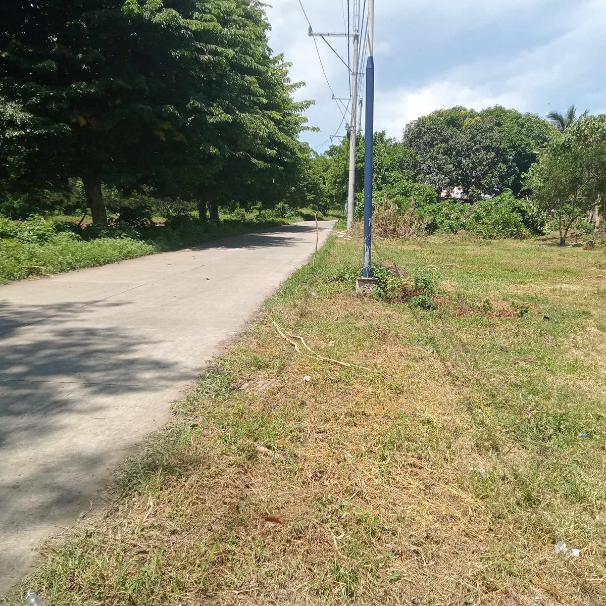 1000 sqm Agricultural Farm Lot for Sale in Tiaong Quezon [Lot 🚜] (April