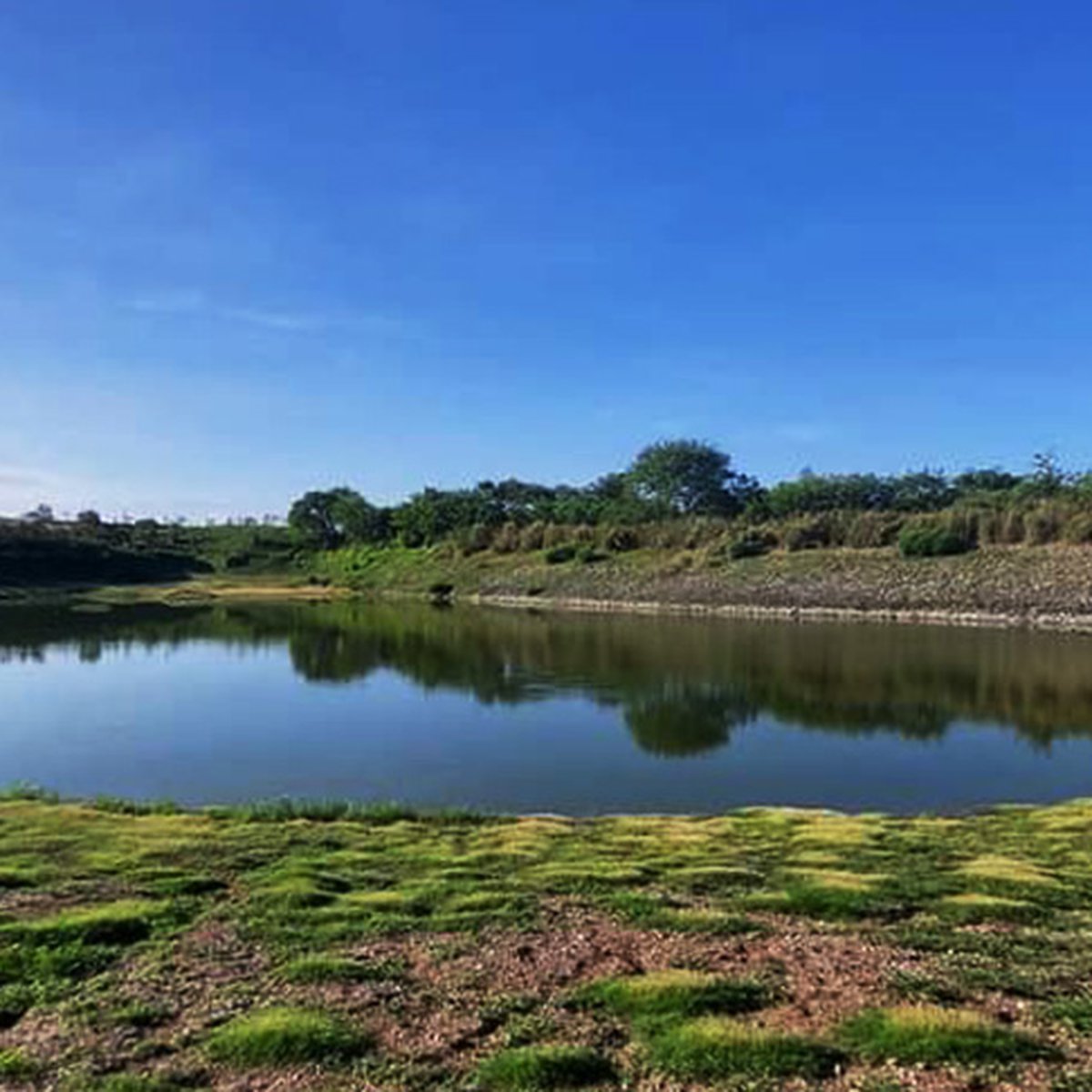 Overlooking 22 hectares Farm For Sale in Cuyapo Nueva Ecija P100/Sq.m