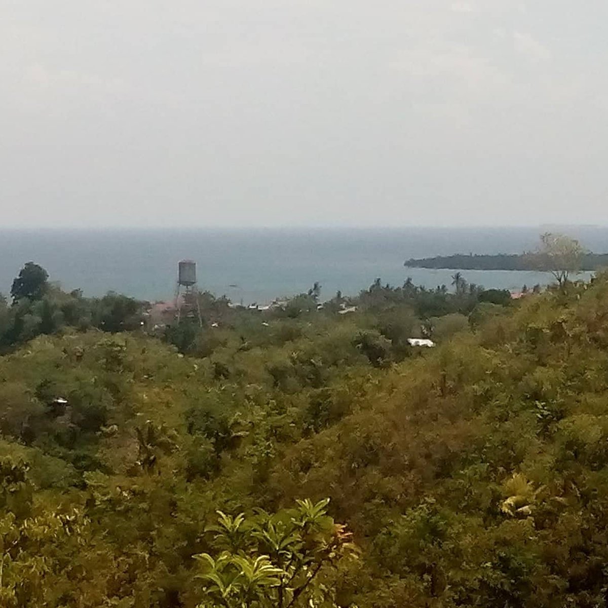 Land for sale in San Miguel Palompon Leyte at the back of PIT School