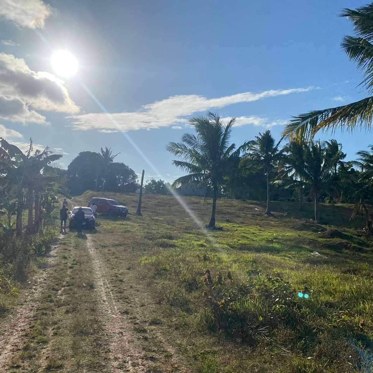 FARM LOT FOR SALE IN PANGIL AMADEO [Lot 🚜] (July 2022) in Amadeo