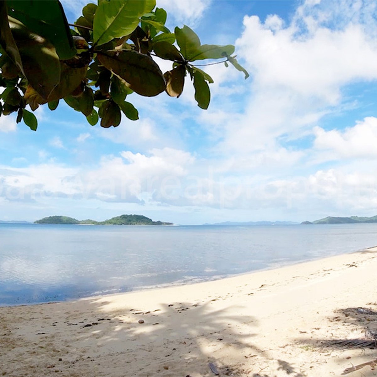 SUPER WHITE EL NIDO BEACH [Beach Property 🏖️] (November 2023) in El Nido (Bacuit), Palawan for sale