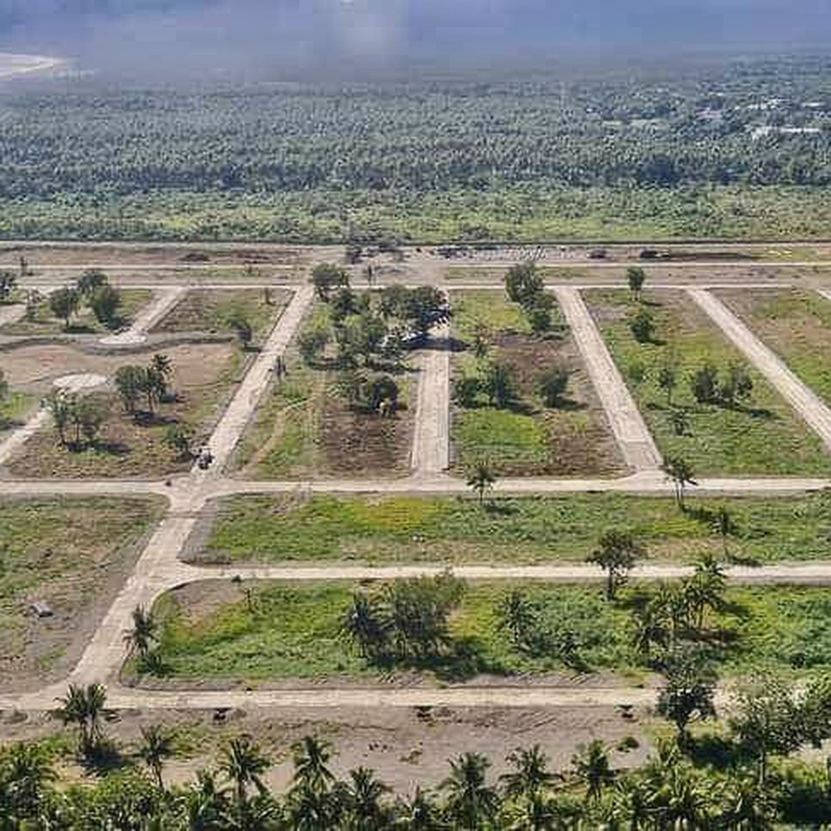 Minimum cut 300 sqm Beach Property For Sale in Baler Aurora [Beach