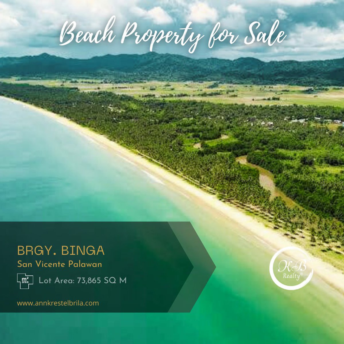 Titled 1.74 hec beach lot in San Vicente Palawan [Beach Property 🏖️