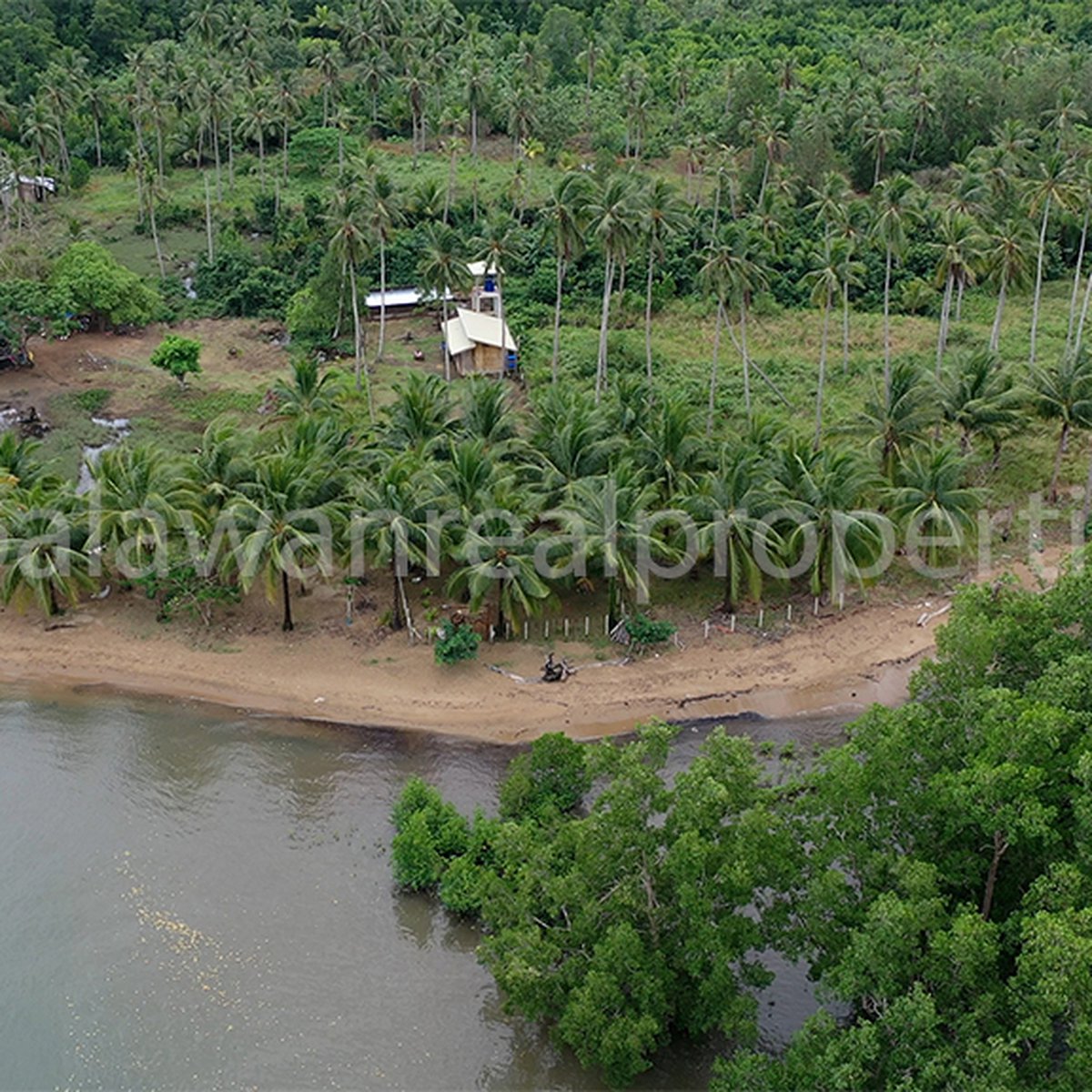 "Oceanfront oasisbeach house on the river and sea in El Nido Palawan