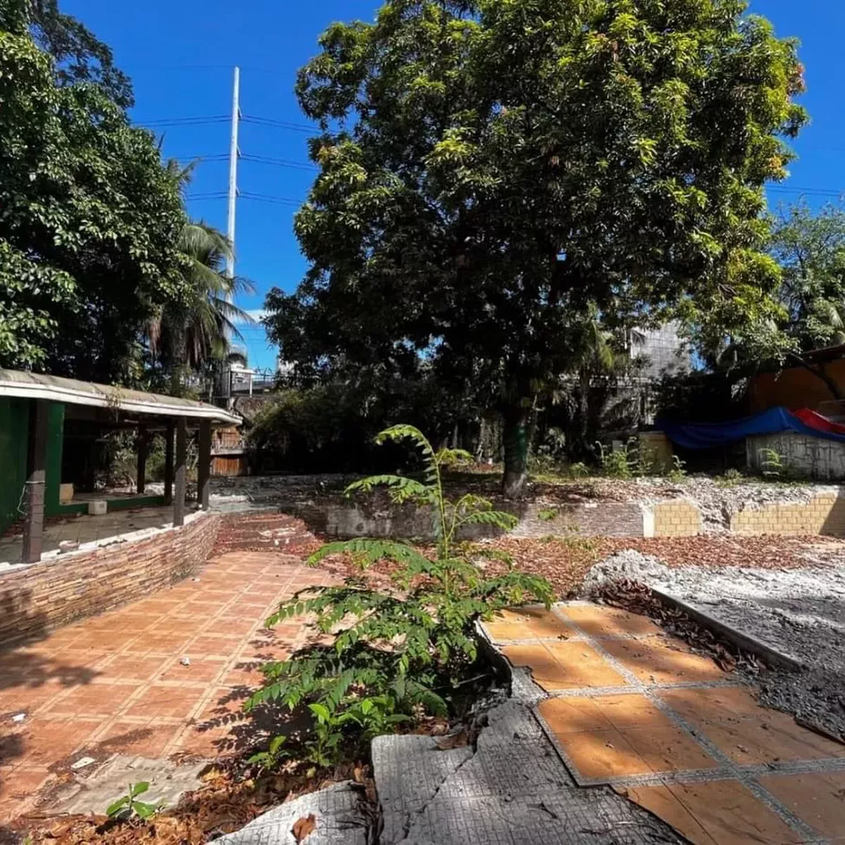 1,000 sqm Residential Lot For Sale in BelAir Makati Metro Manila [Lot