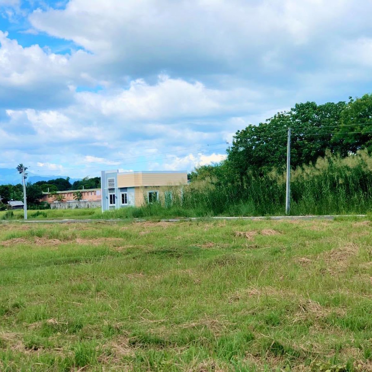 100sqm residential lot for sale in pangasinan [Lot 🚜] (August