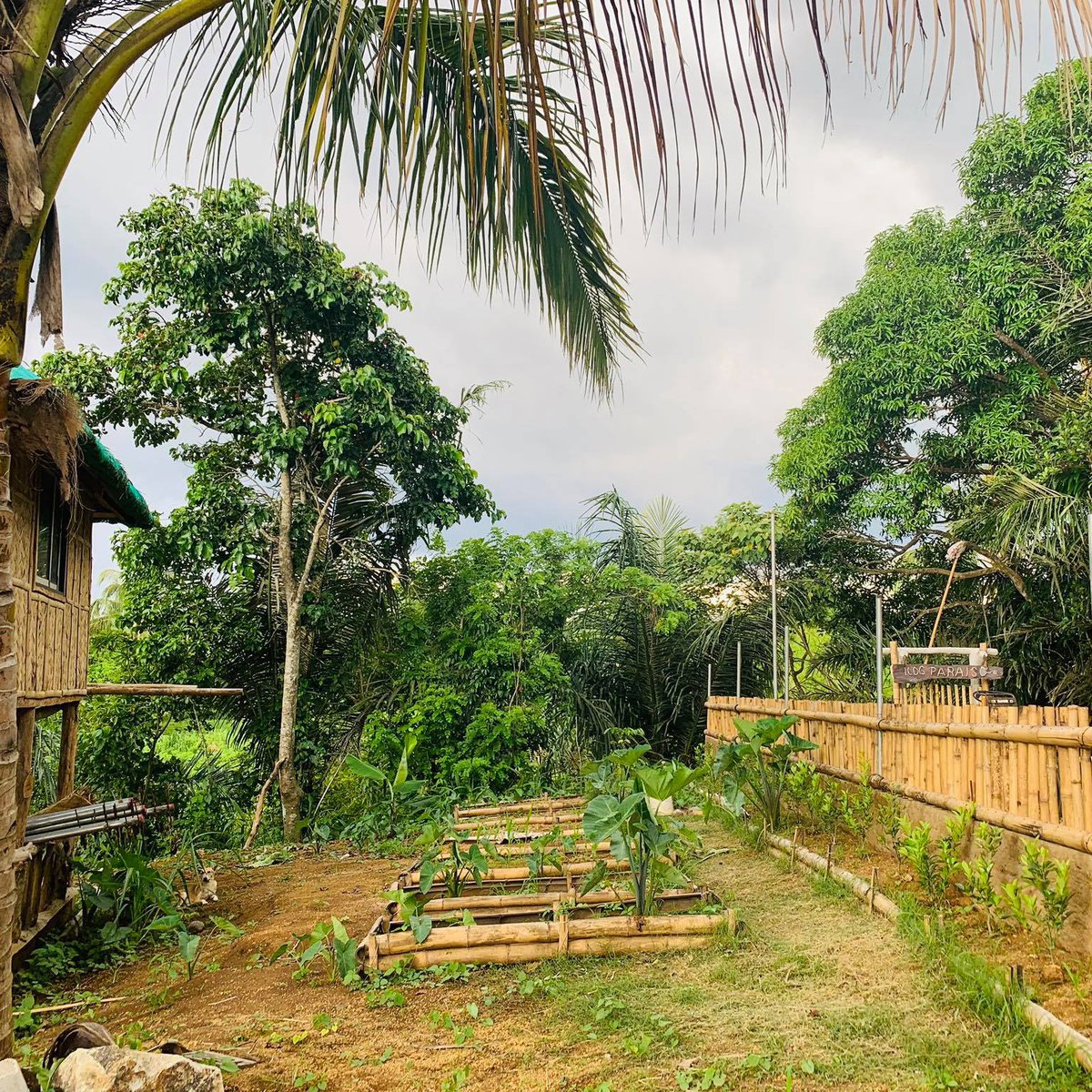 Farm lot in Alfonso near Tagaytay but away from danger zone of Taal ...