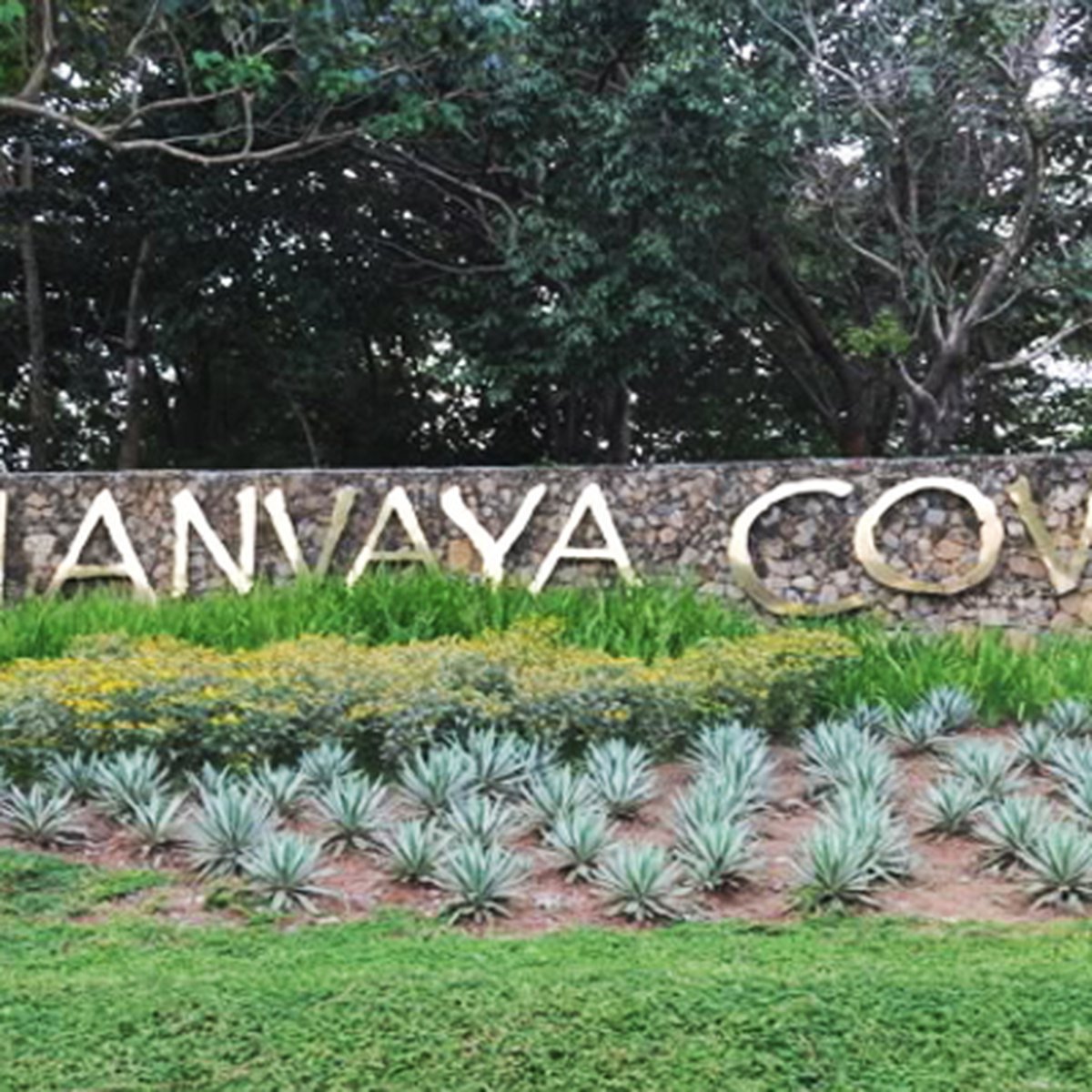 Foreclosed Lot at The Mango Grove Anvaya Cove Bataan [Lot 🚜] (September