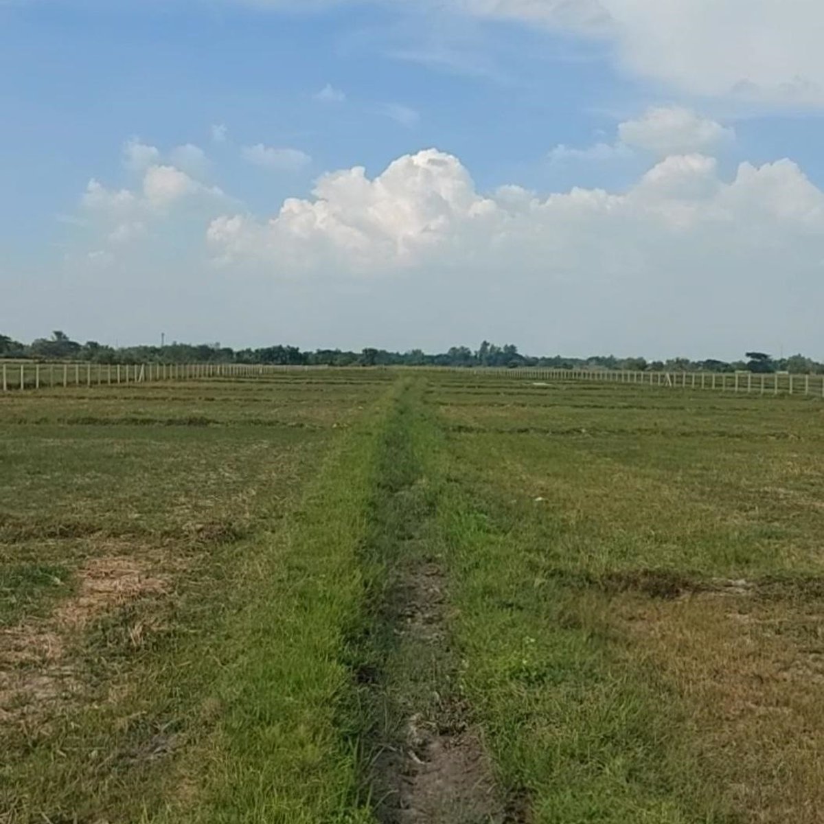 20000 sqm lot For Sale near New Clark City Capas, Tarlac [Lot 🚜