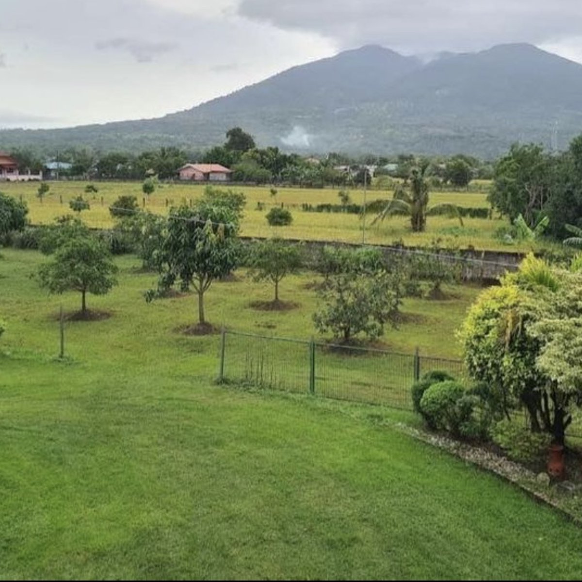 Farm & Residential Lot For Sale [Lot 🚜] (July 2024) in Arayat, Pampanga