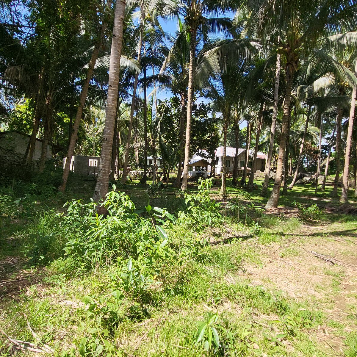 2,911 sqm Residential Lot For Sale in Baloi Lanao del Norte [Lot 🚜 ...