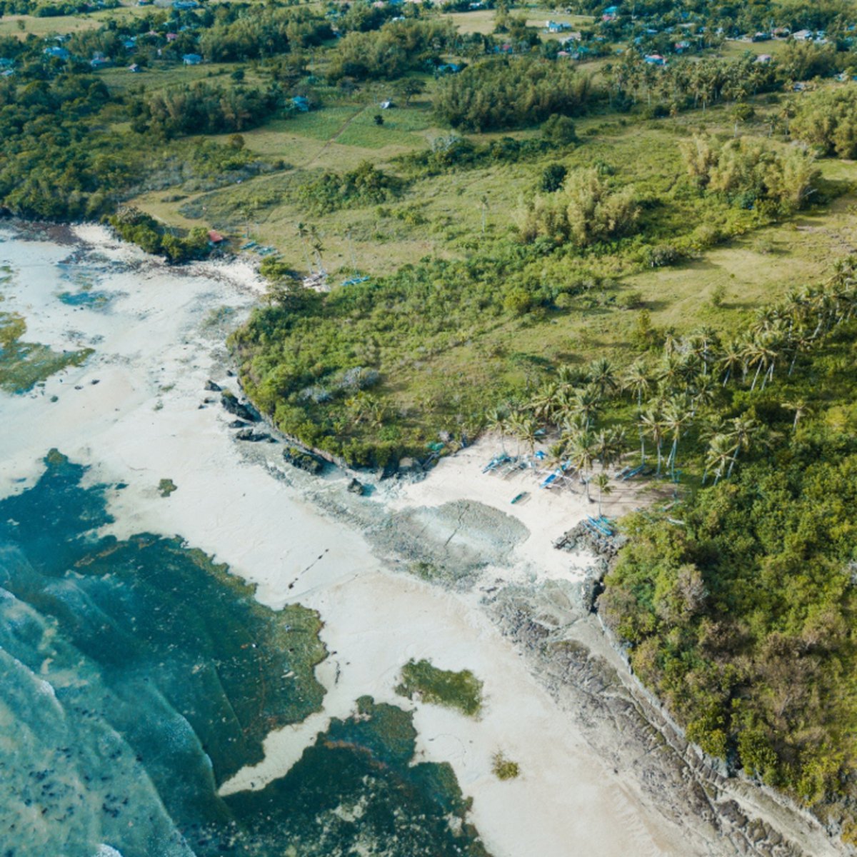 BEACH LOT FOR SALE IN Bantayan Island CEBU PHILIPPINES [Beach Property