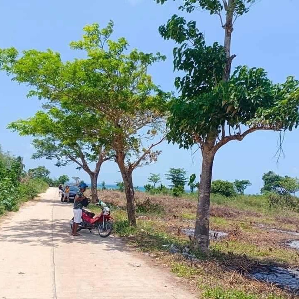 Beach Lot For Sale in Daanbantayan Cebu [Beach Property 🏖️] (June 2022