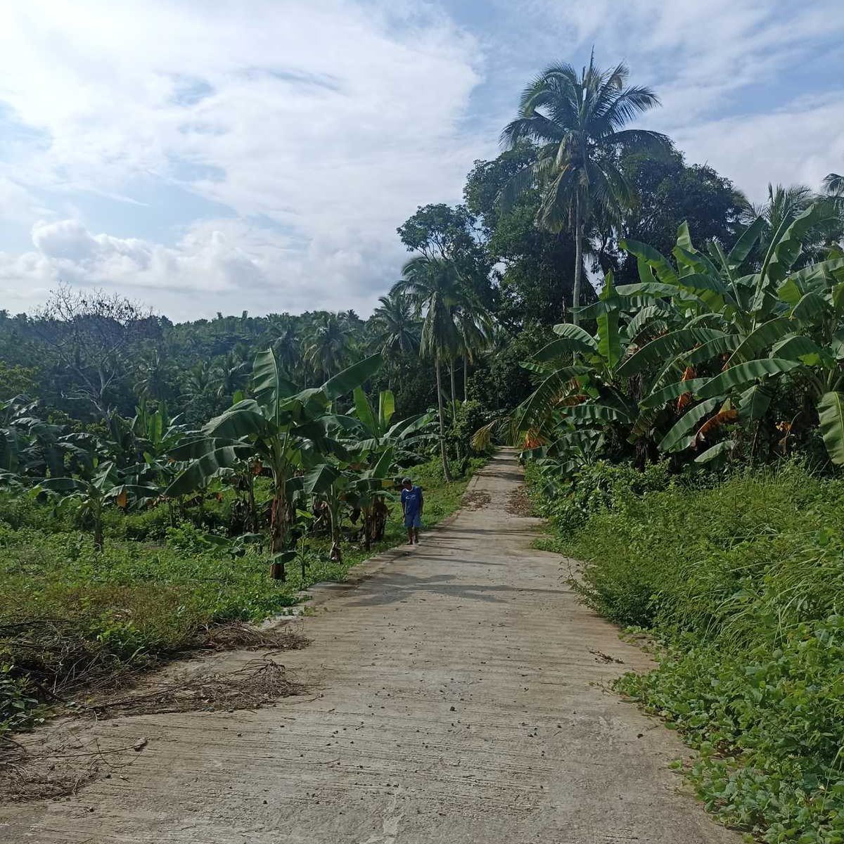 1000 sqm Residential Farm For Sale in Magallanes Cavite [Lot 🚜