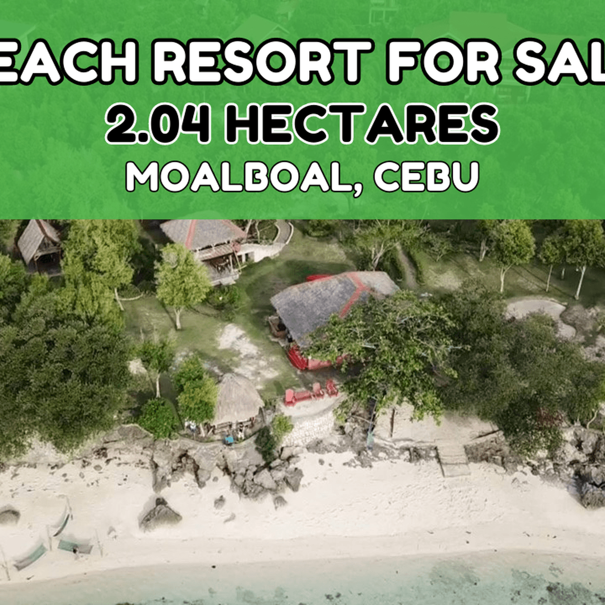 Hotel And Beach Resort FOR SALE Moalboal, Cebu, Philippines [Beach
