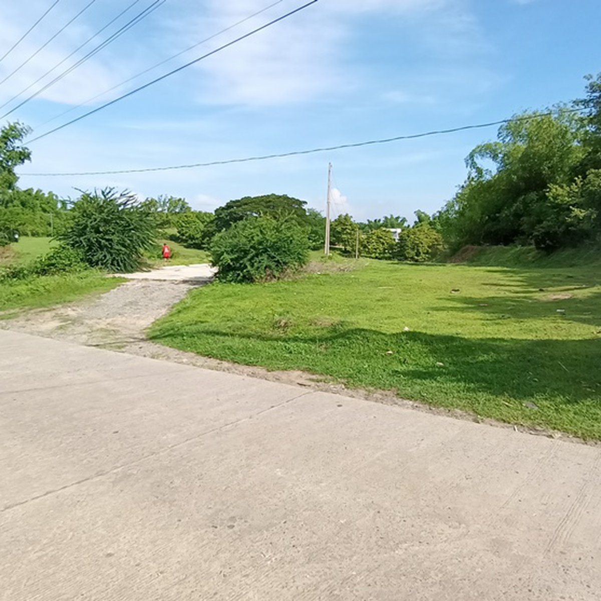 Vacant residential subdivision lot [Lot 🚜] (March 2024) in Alaminos