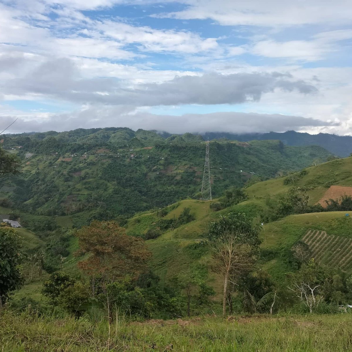 Farm Lot for Sale in Busay Highland 1 Cebu City [Lot 🚜] (May 2024) in