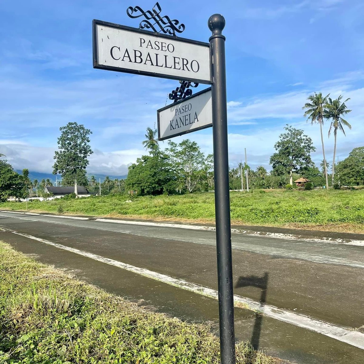 729 sqm Residential Lot For Sale in Tiaong Quezon [Lot 🚜] (September