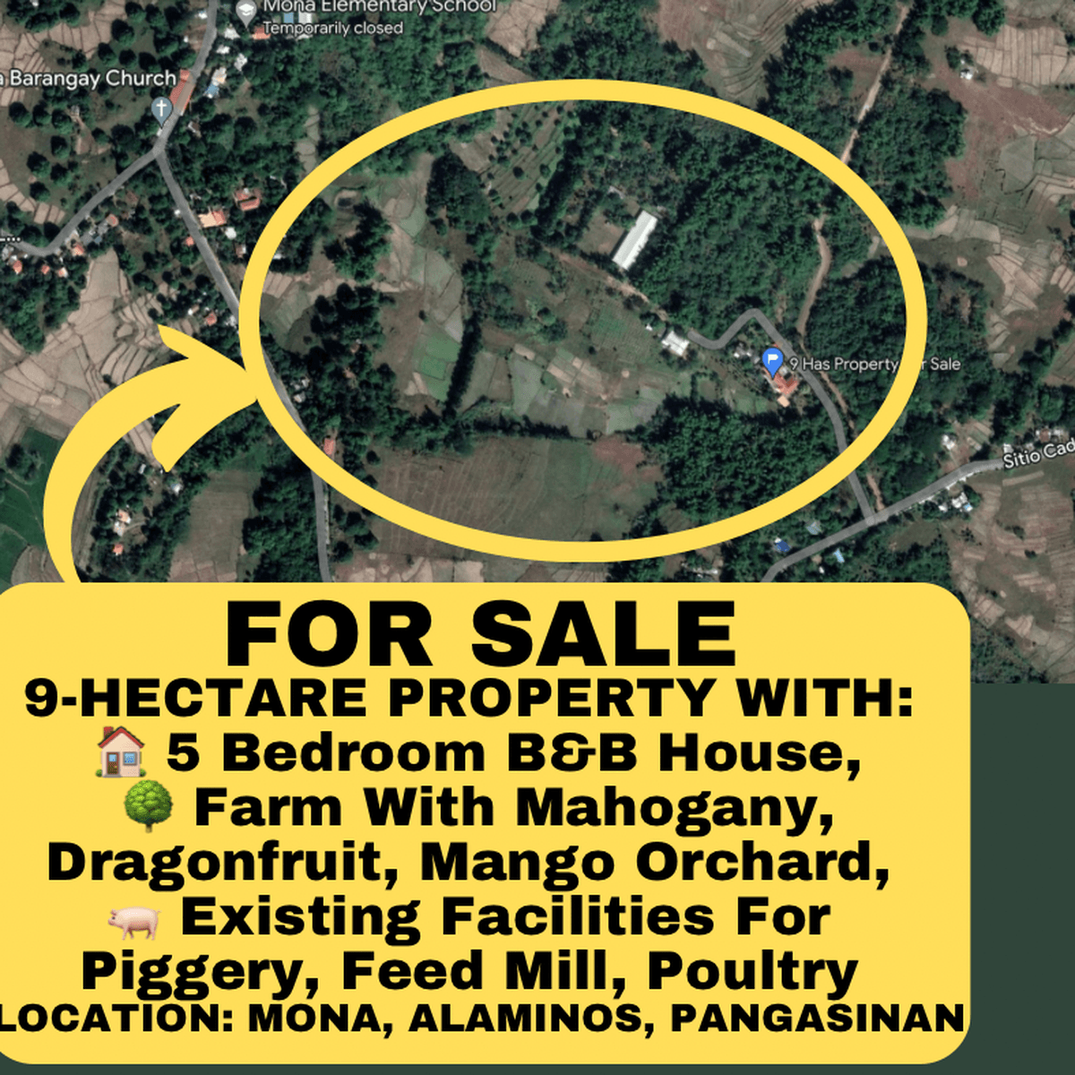 9Hectare Farm With B&B House Orchard For Sale Alaminos Pangasinan [Lot