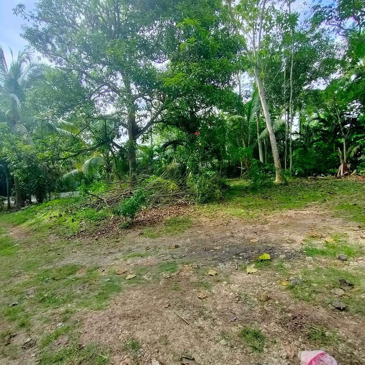 791 sqm Residential Lot For Sale in Samal Davao del Norte [Lot 🚜