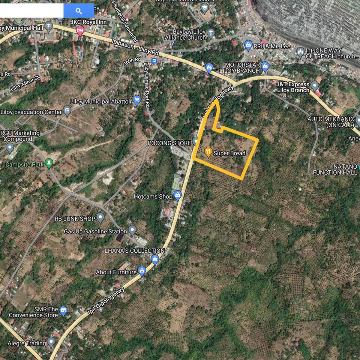 Lot for lease in Liloy very ideal for Mall and Gas Station Business ...