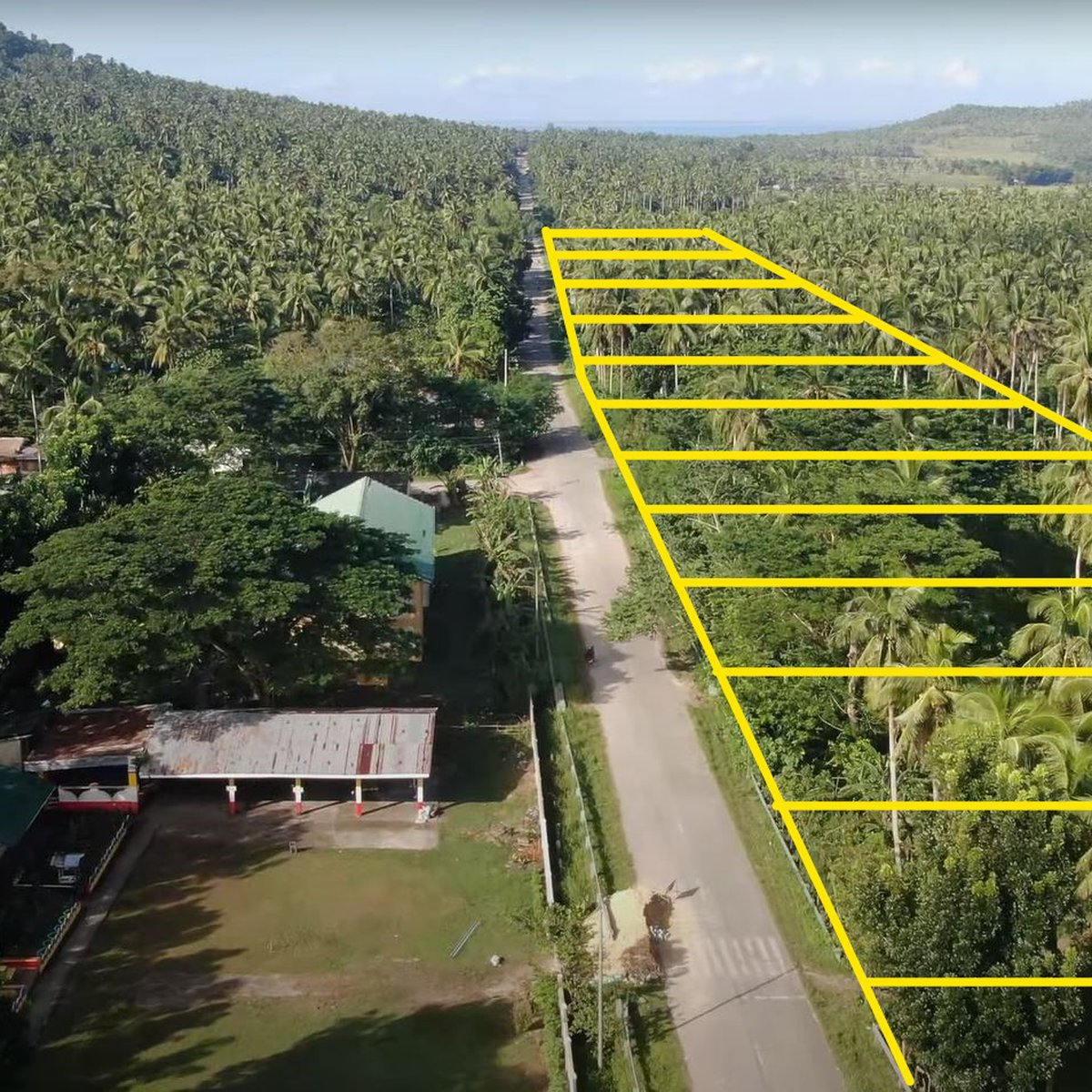 2,000 sqm min cut Preselling Prime Farm Lots in San Francisco Quezon