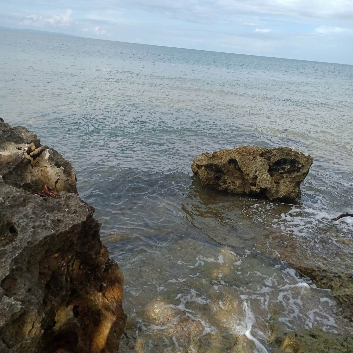 561 sqm expandable beach lot for sale along highway Catmon Cebu10m neg