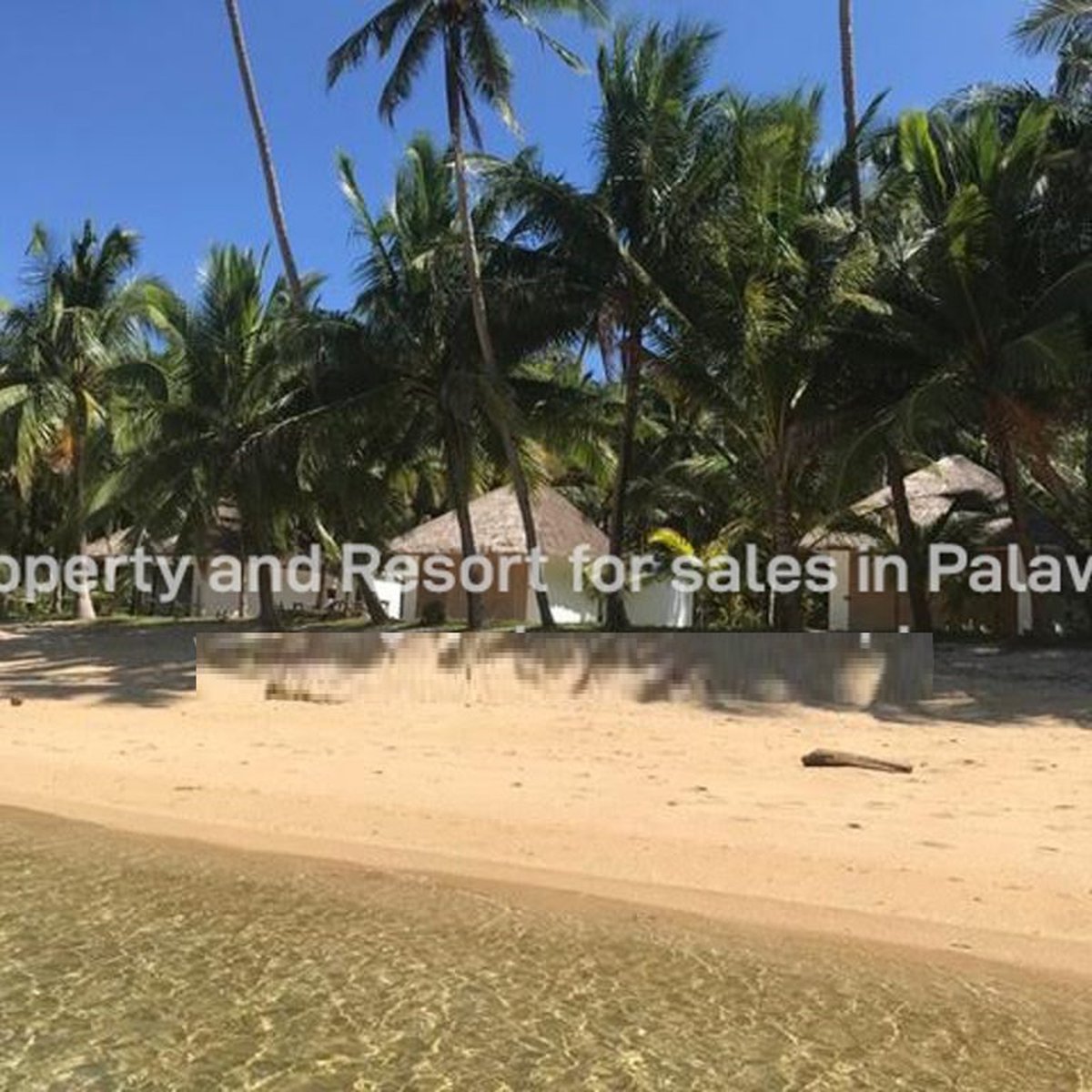 31 hectares Beach Property For Sale By Owner in Busuanga Palawan [Beach