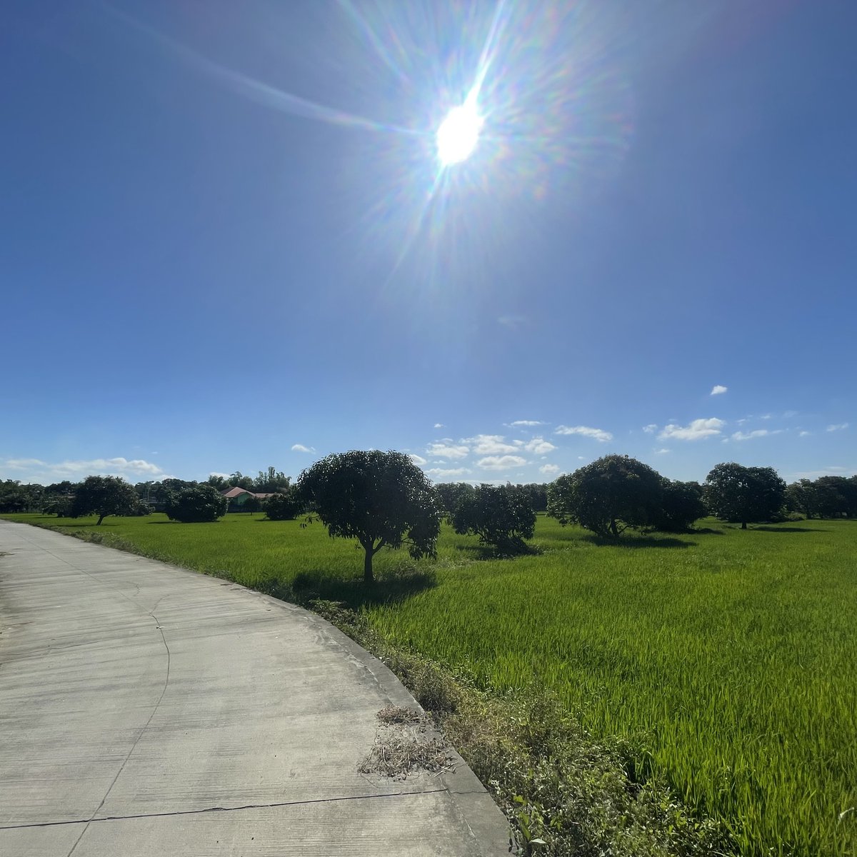 Farm Lot, Ideal for Residential, Apartment, Resort, Rest House. [Lot 🚜