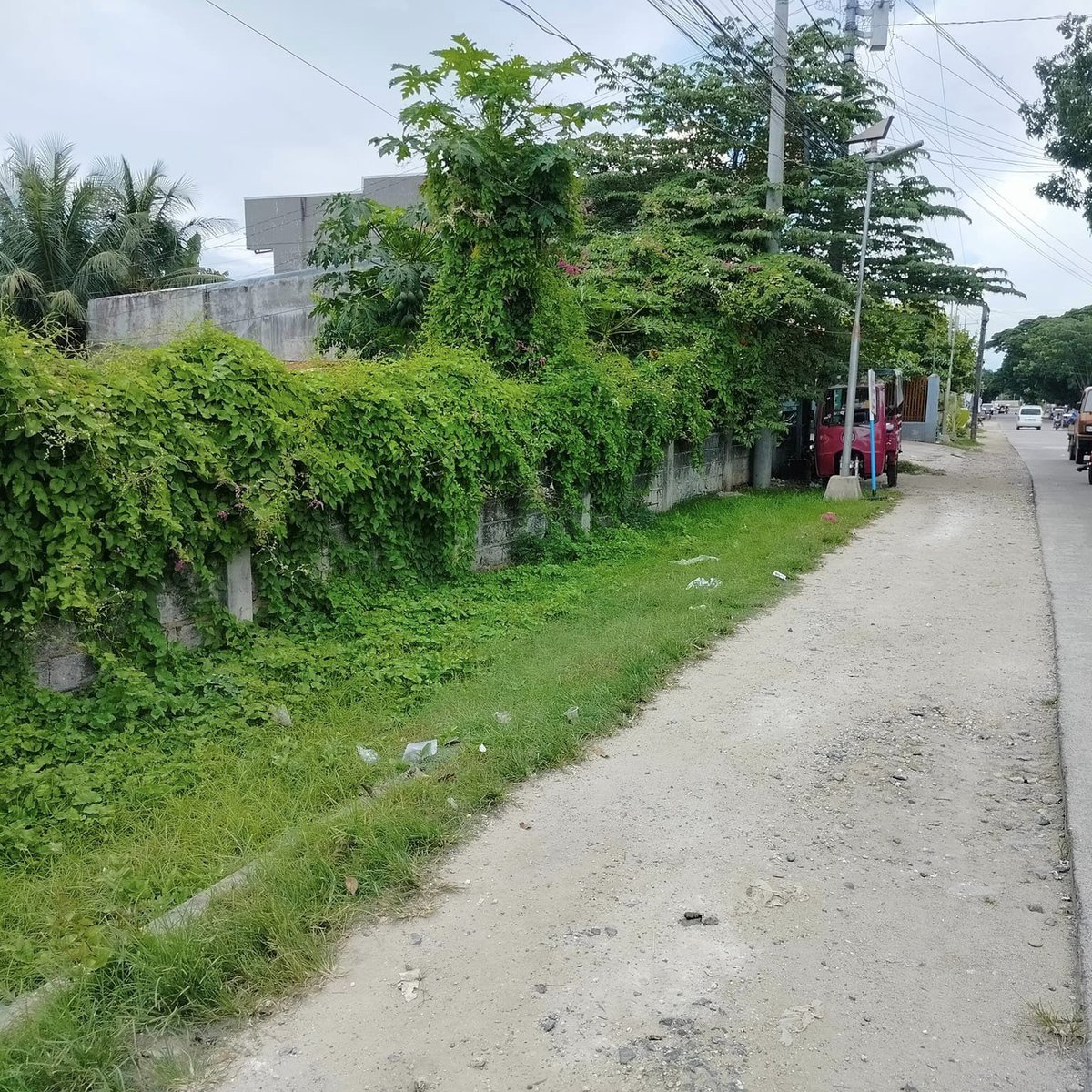 Commercial lot for sale 2,921 sqm Daanbantayan Cebu 45m negotiable [Lot