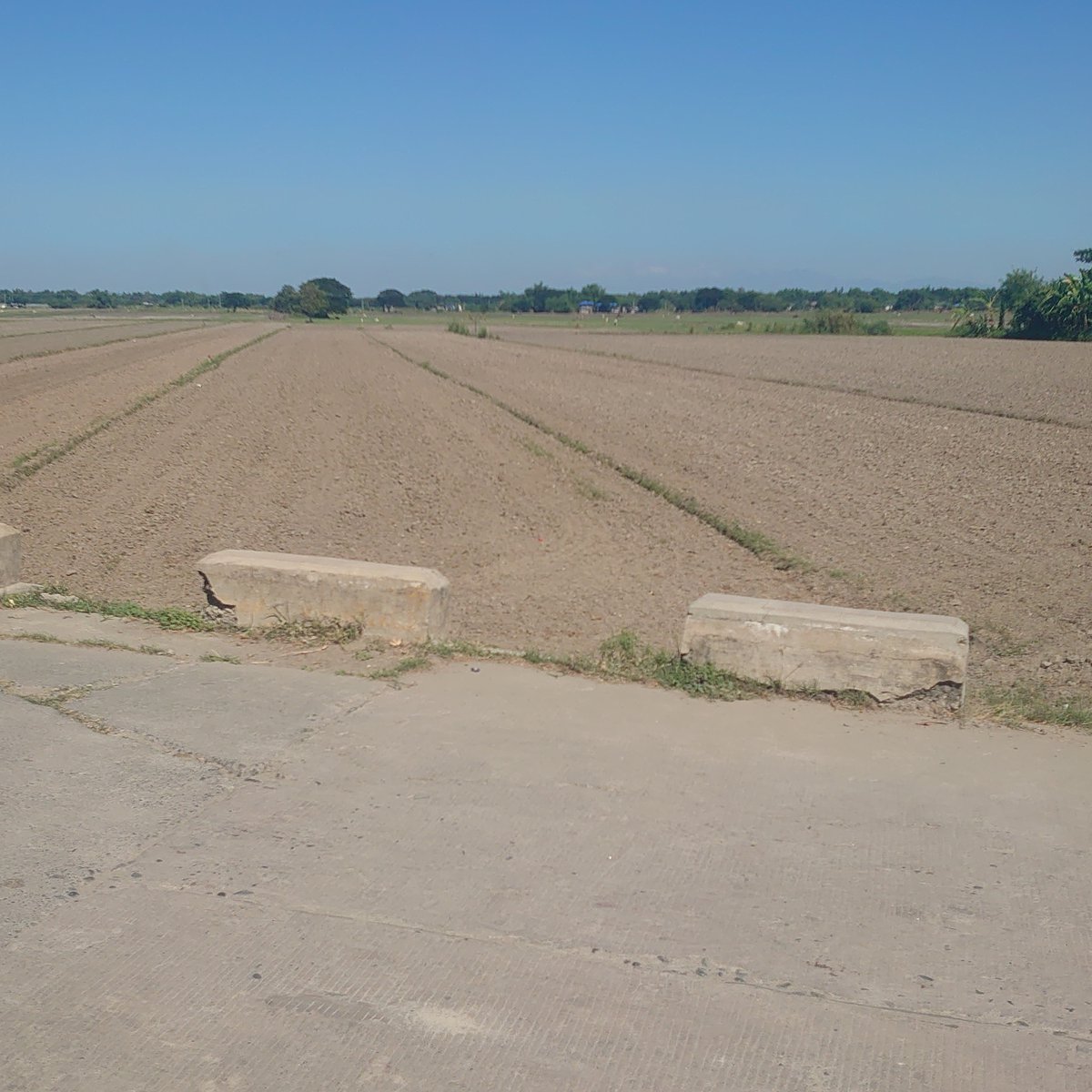 3900 RUSH FARMLOT for 1.3M NEGOTIABLE [Lot 🚜] (December 2023) in