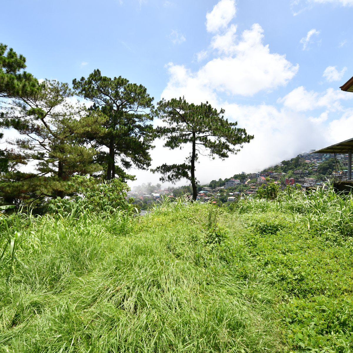 1,000 sqm Residential Lot For Sale in Baguio, Benguet [Lot 🚜] (July