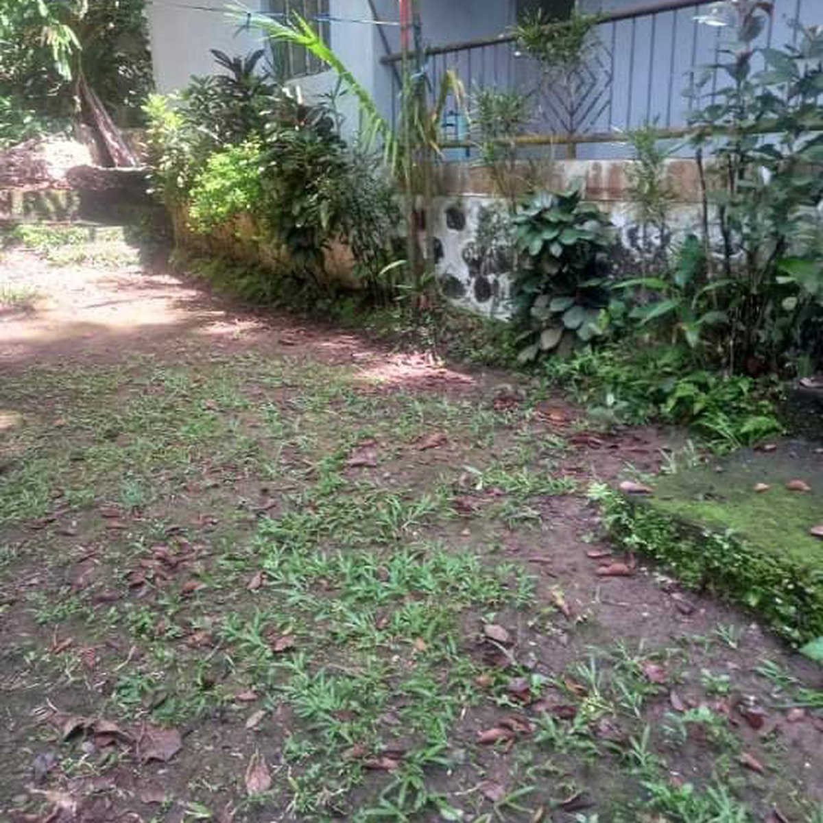 13000 sqm Agricultural Farm For Sale in Tanay Rizal [Lot 🚜] (April 2024