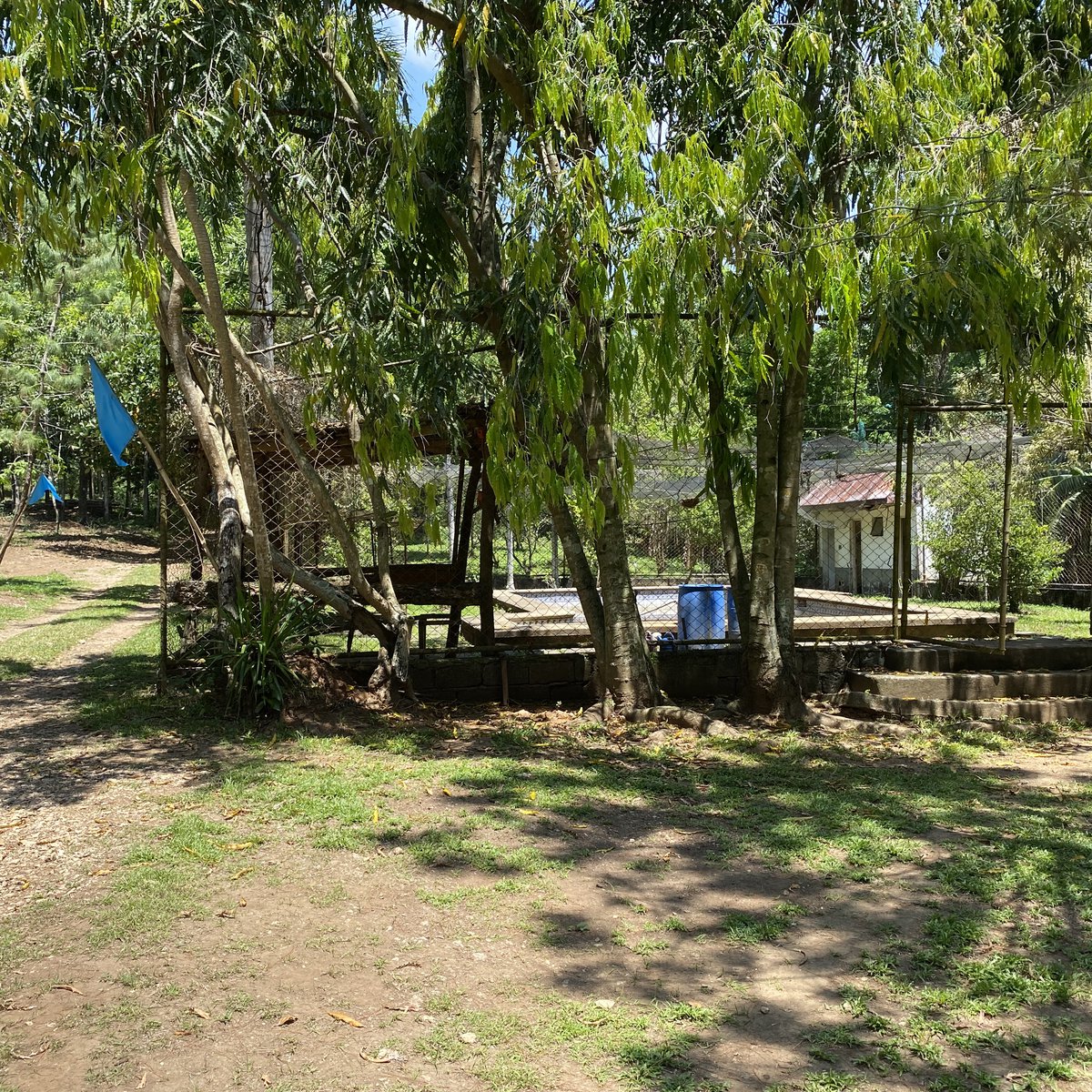 120 sqm Residential Farm For Sale in Morong Rizal [Lot 🚜] (February