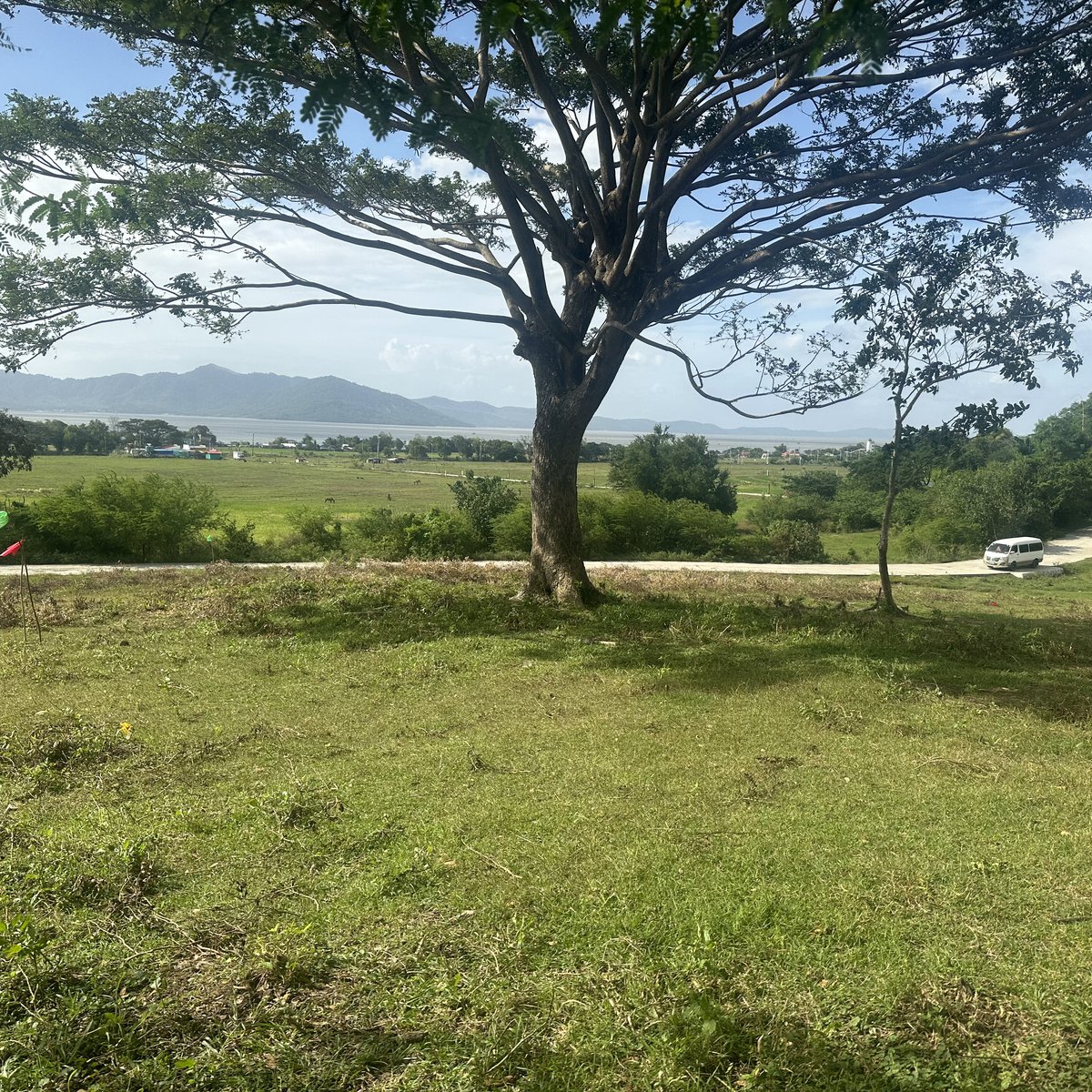 Residential Farm Lots for Sale in Rizal [Lot 🚜] (October 2023) in