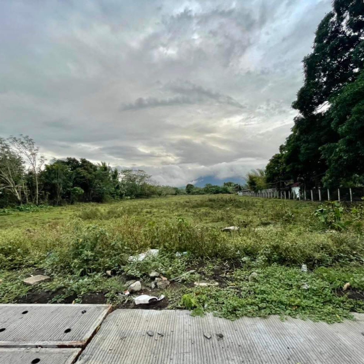 Commercial Lot along National Road boundary of Candelaria Quezon [Lot 🚜