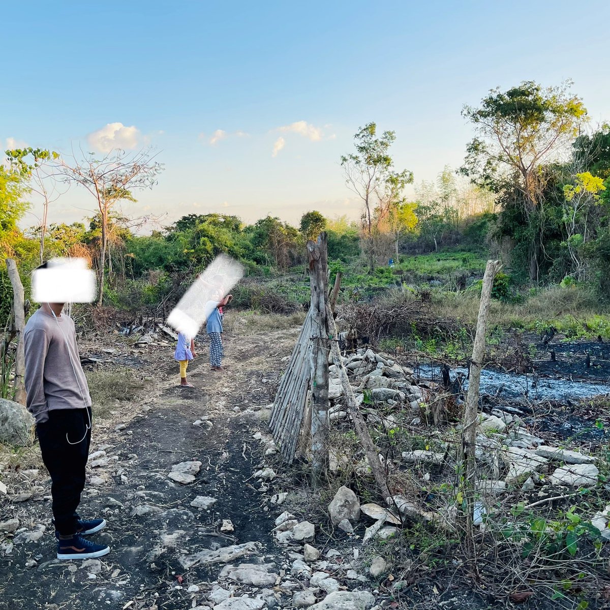 50000 sqm Agricultural Farm for Sale in Burgos Pangasinan [Lot 🚜