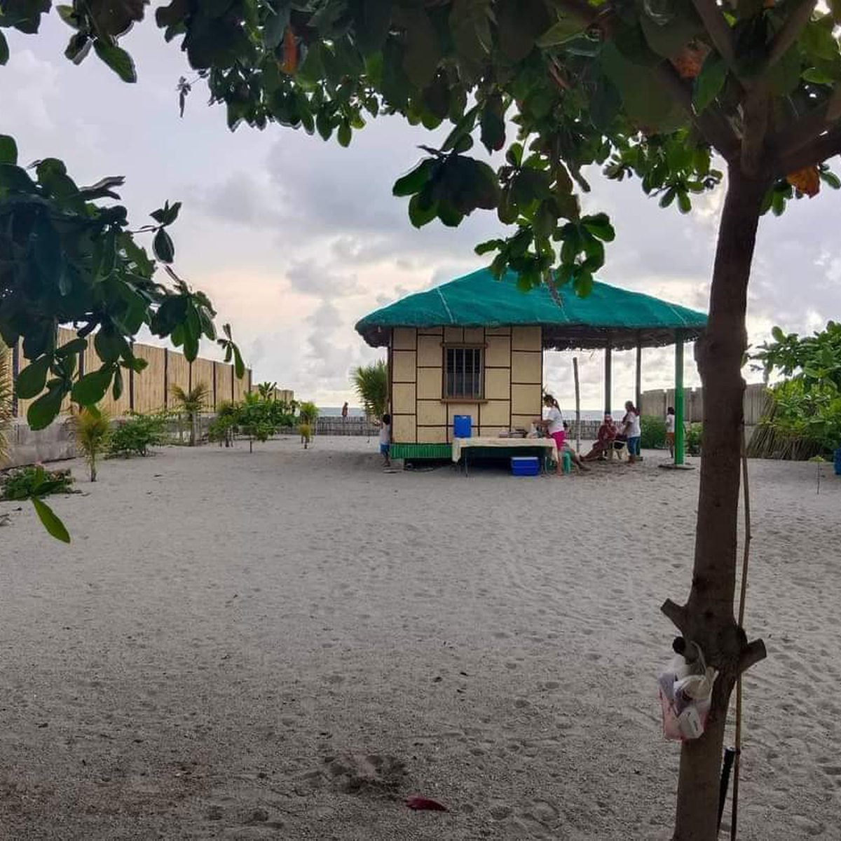 1065 sqm Beach Property For Sale in Cabangan Zambales [Beach Property 🏖