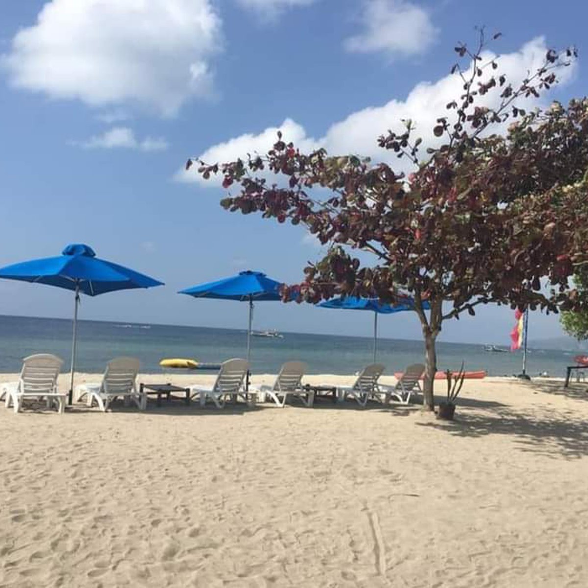 306 sqm Beach Property For Sale in San Juan Batangas [Beach Property 🏖️