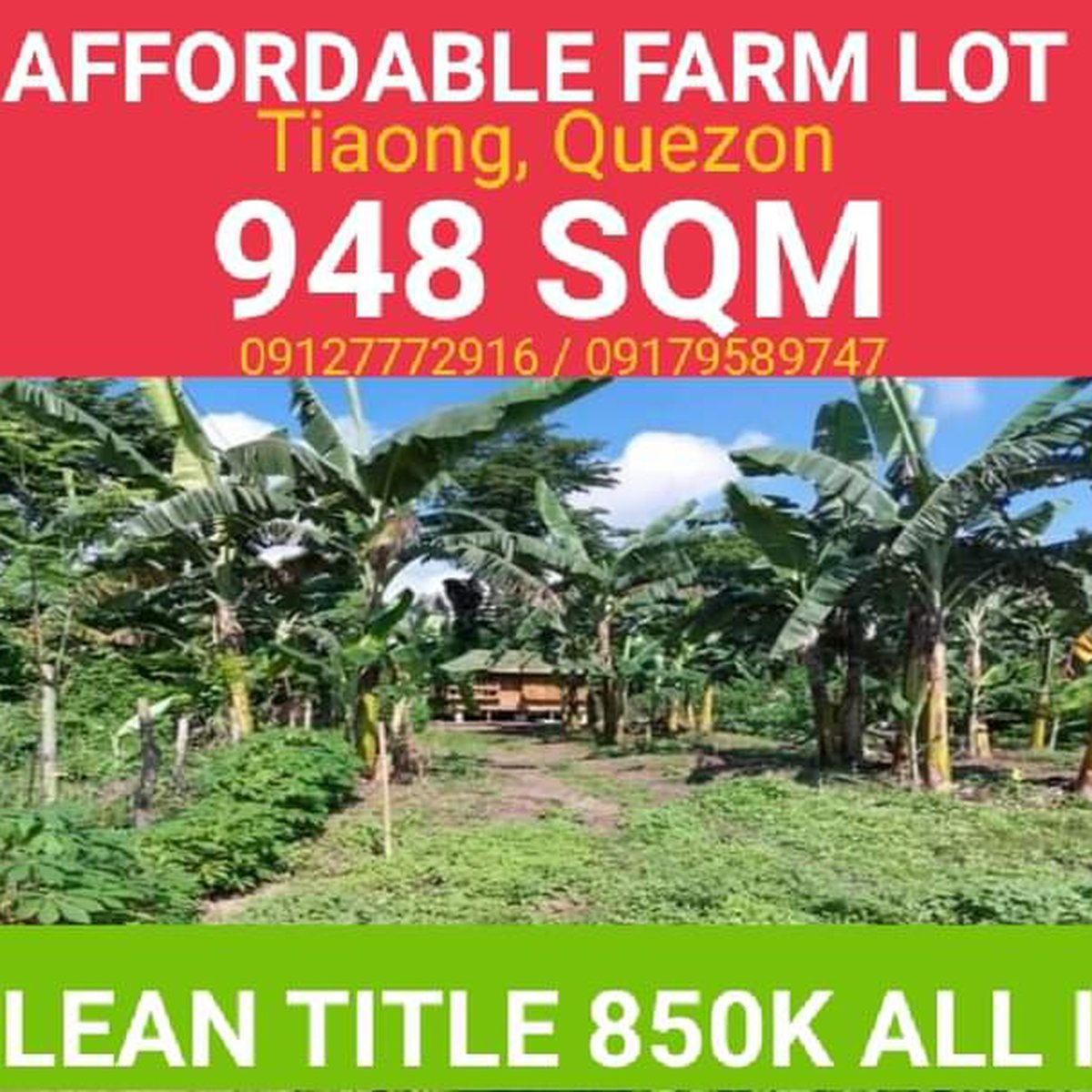 AFFORDABLE FARM LOT FOR SALE IN TIAONG QUEZON [Lot 🚜] (October 2023) in