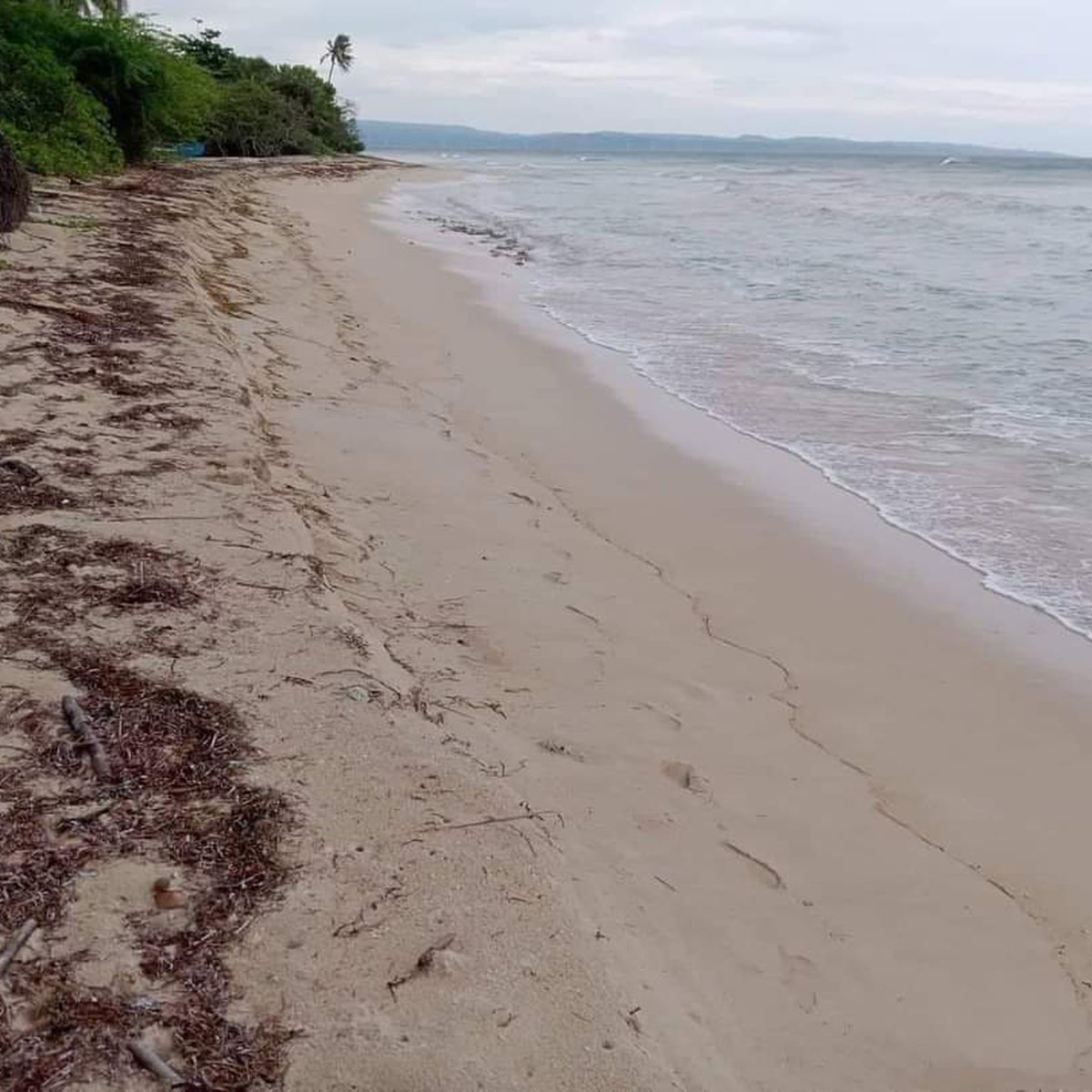 8420 sqm Beach Property For Sale in Pagudpud Ilocos Norte [Beach