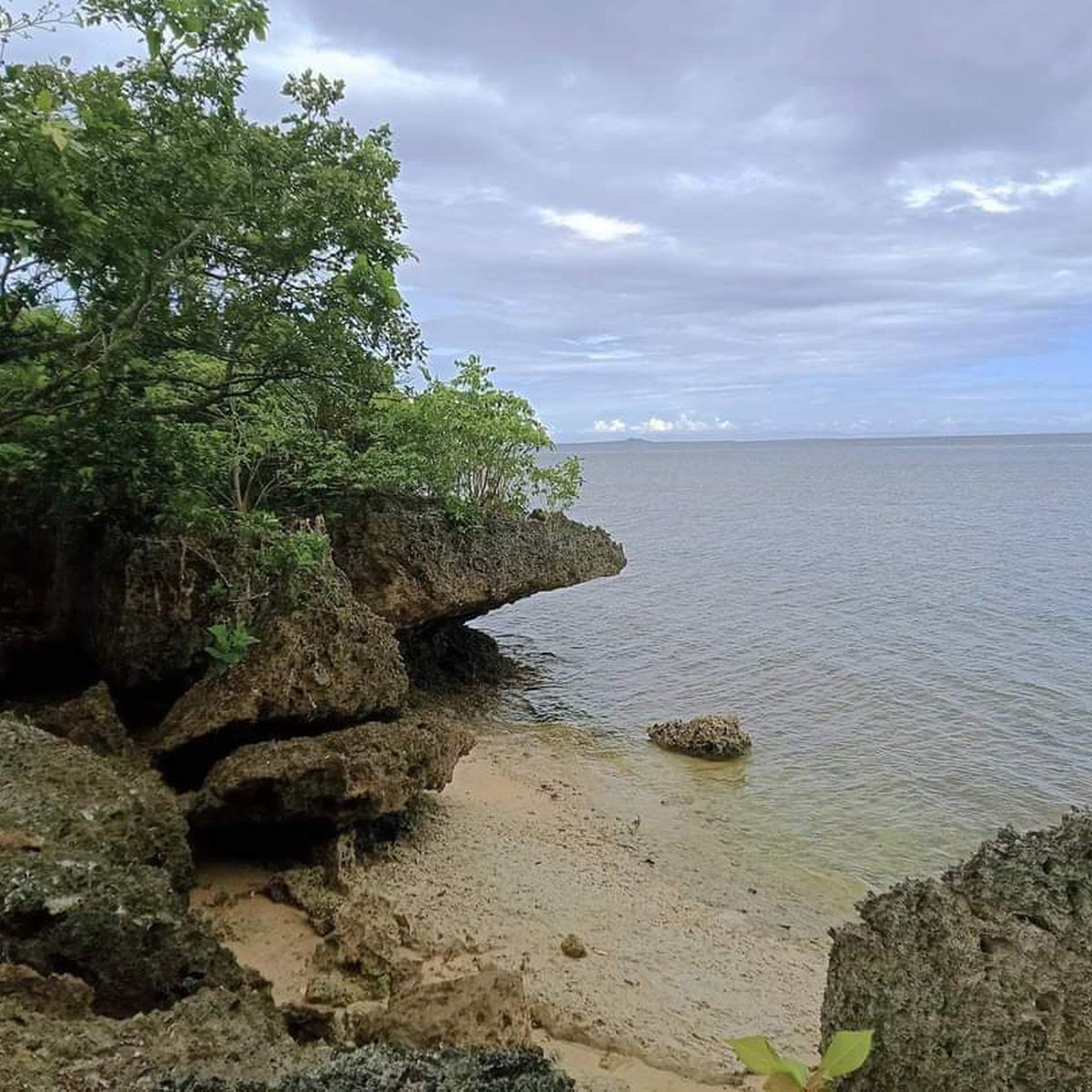 459 sqm Beach Property For Sale in San Francisco Cebu [Beach Property 🏖