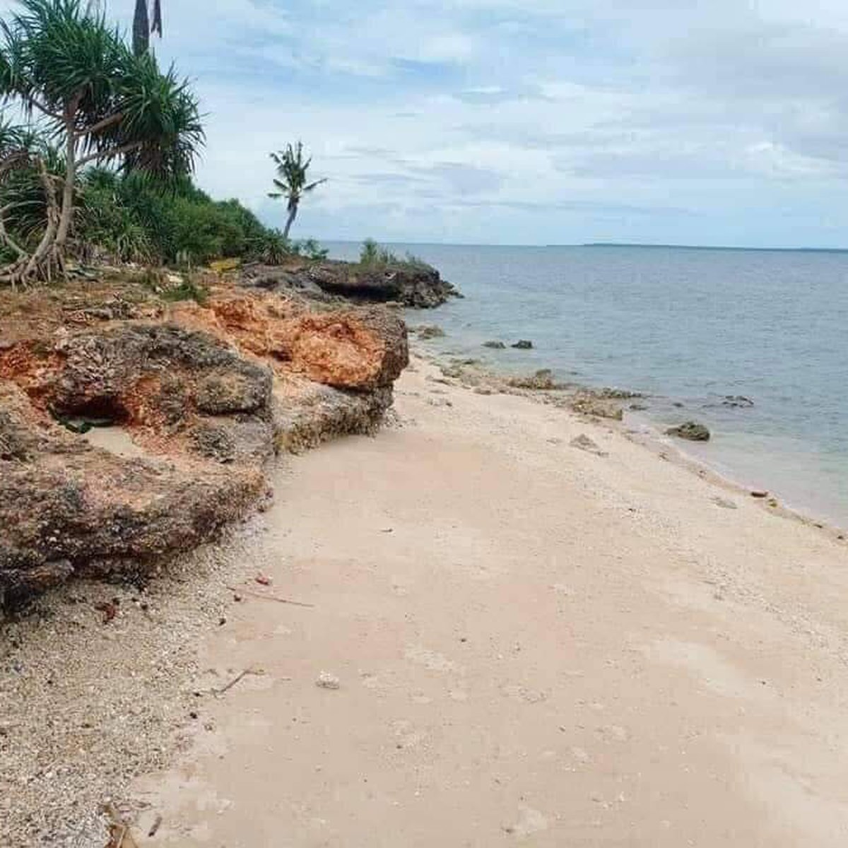 200 sqm Beach Property For Sale Agujo Daanbantayan Cebu [Beach Property
