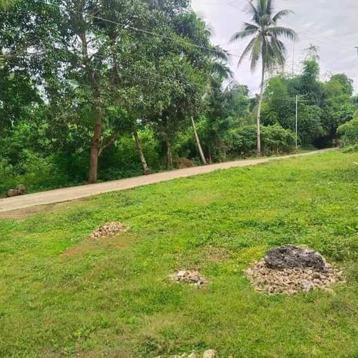 LOT ONLY LOTS AVAILABLE IN DANAO CITY CEBU [Lot