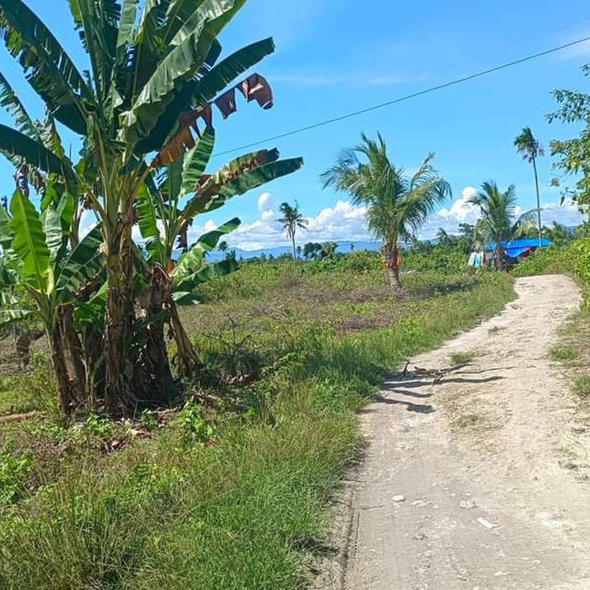 Lot for sale, cash or installment in Saavedra MoalBoal, Cebu [Lot 🚜