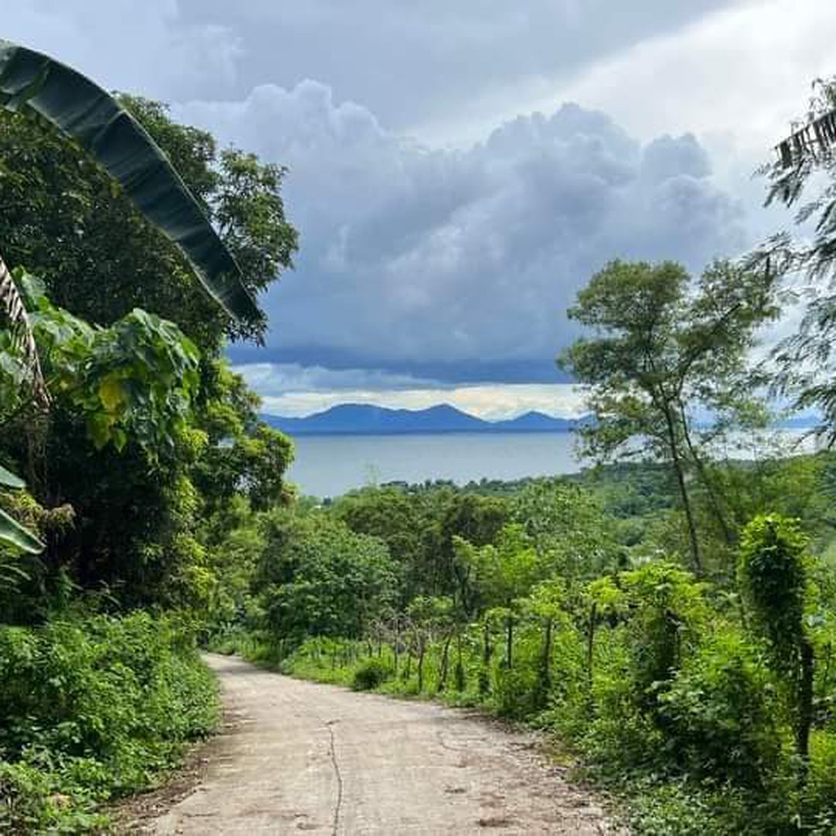 Farm Lot in Jala Jala Rizal [Lot 🚜] (November 2022) in Jalajala, Rizal ...